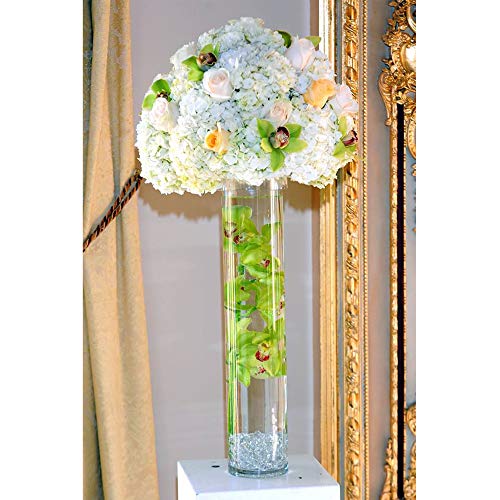 WGV Cylinder Vase, Diameter 5", Height 20", Clear Glass Floral Planter Container, Tall Centerpiece Arrangement for Wedding Party Event Home Office Decor, 1 Piece - size: 5"x20"H CL
