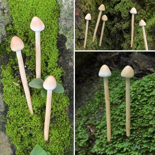 8-Pack Handmade Clay Mushrooms - Mini Fake Mushrooms for DIY Miniature Landscapes & Fairy Gardens - Desktop Ornaments & Christmas Decorations.