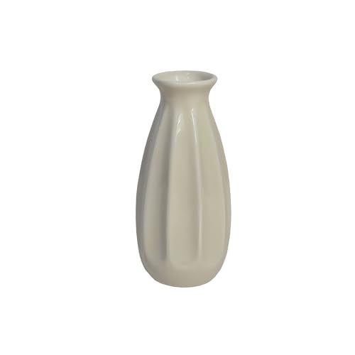 Simple Vase for Flowers Plants, Small Cute Flower Vase for Modern Table Shelf Home Decor Wedding Boho Decor, Farmhouse - color: 1pc-stjh-white