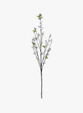 Peach Blossom Stem