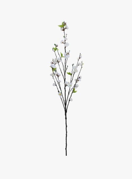 Peach Blossom Stem