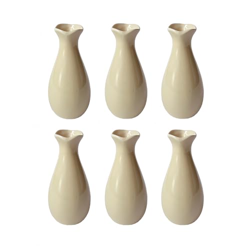 Simple Vase for Flowers Plants, Small Cute Flower Vase for Modern Table Shelf Home Decor Wedding Boho Decor, Farmhouse (6pc-XJH-Brown) - color: 6pc-xjh-brown