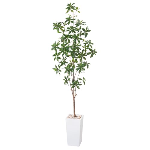 HAIHONG Artificial Brave Ficus Tree 6FT-Faux Tree with White Tall Planter-Fake Potted Tree with Silk Leaves-Tall Artificial Plants for Home Office Living Room Hallway Decor Indoor