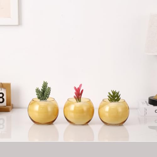 Amber Round Vases Set of 6, Flower Vases for Centerpieces, Glass Vase for Flowers, Glass Bowl Vase for Living Room, Bedroom, Kitchen, Office, Wedding, 5'' W x 4'' H - color: Amber, size: 5”