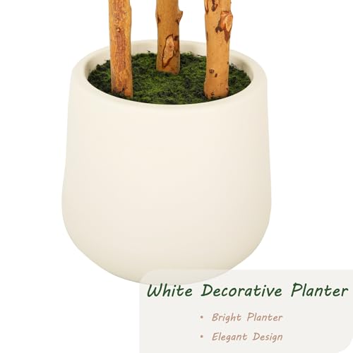 Bellacat 5ft Artificial Ficus Tree with White Decorative Planter & Multiple Real Wood Trunks, 60in Fake Ficus Tree with Lifelike Leaves, Faux Ficus Tree for Living Room Bedroom Office Decor - color: White Decorative Planter, size: 5ft