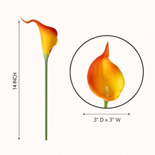 Floral Kingdom 20 Pack Artificial Calla Lily Flowers 14 Inch Yellow-Orange – Real Touch Faux Flowers for Table Centerpieces, Home Decor and Weddings - color: Yellow-orange