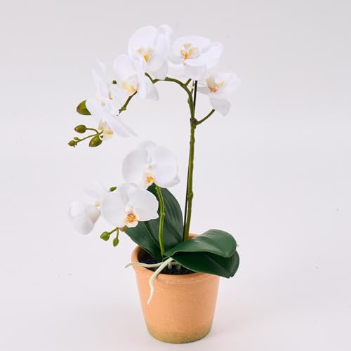Avoeco Artificial Real Touch Orchid Plant – 15" Faux Phalaenopsis in Pot – Highly Realistic Silk Orchid Flower & Leaf Texture for Home, Office,Shop & Wedding Décor (1 White, 15“) - color: 1 White, size: 15“