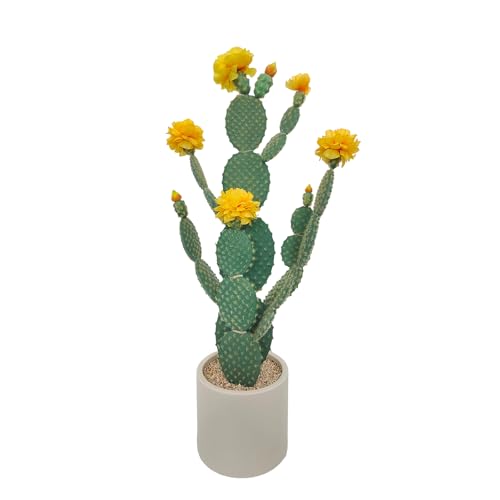 Artificial Cactus Plant, Tall UV Resistant Faux Cactus Plant, Realistic Texture Tall Fake Plant, Faux Desert Cacti Potted Plant with Planter for Indoor Outdoor Decoration - color: Yellow + Green
