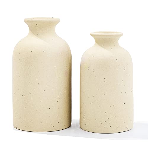 White Ceramic vases Home Decor 2pcs Small vase Set Boho vase Modern Farmhouse Decor (Beige Spot) - color: Beige Black