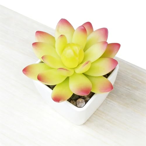 Artificial Succulent Plants in Pot - 1Pcs 5-Horned Lotus Yellow Realistic Fake Potted Succulents for Home Decor, Desk, Office, Bathroom, Windowsill - Indoor Houseplant for Bedroom, Kitchen, Shelf - color: 5-horned Lotus Yellow