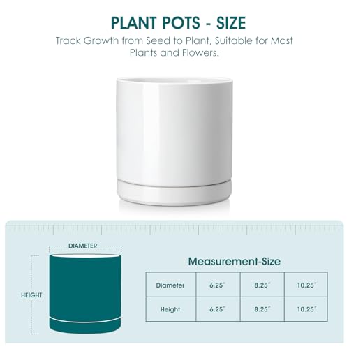 vancasso Ceramic Plant Pots, 6.25 Inch Ceramic Pot for Plants, Planters Pots for Indoor Plants with Drainage Holes, Flower Pot for Indoor House Plant, White - color: White, size: 6.25 Inch