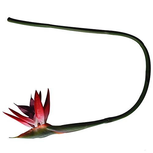 Calcifer 32'' Real Touch Bird of Paradise Artificial Flowers Bouquet for Home Garden Decoration/Wedding Party Decor (Package Quantity: 5 Stems Red) - color: Package Quantity: 5 Stems Red