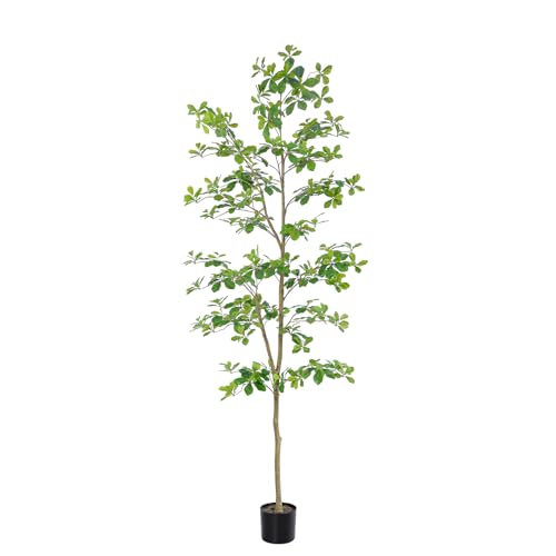 Bellacat Faux Black Olive Tree 7ft, Tall Faux Trees Indoor with Natural Trunk and Realistic Leaves. 7 Feet(84in) Artificial Tree for Home Office Décor. - style: 7ft Black Olive Tree