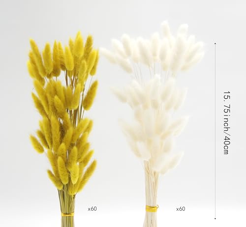 Dried Bunny Tails Flowers 120pcs Tail Dried Flowers Pampas Grass Natural Dried Floral Arrangement 17" for Christmas Halloween Boho Decor Home Wedding DIY Craft Decoration(White and Yellow) - color: Yellow