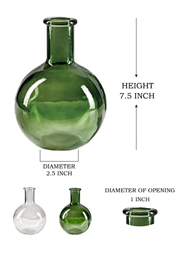 Serene Spaces Living Set of 2 Green Bottleneck Round Glass Vase, Vintage Bulb Flower Vase for Console Table, Shelf, Living Room, Bathroom, Office, Wedding, (5.3 Inches Diameter & 7.48 Inches Tall) - color: Green