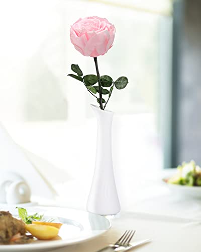 Pink Flowers for Delivery Prime, Preserved Pink Roses Flower Gifts for Women, Real Roses Single Rose Gifts for Her, Mom Birthday Gifts from Daughter, Valentines Flowers - color: 04-pink