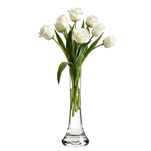 25CM Tall Glass Flower Bud Vase Single Stem Decorative Vase Narrow Bud Vase Table Centrepiece for Wedding Living Room Table Home Decoration(Transparent)