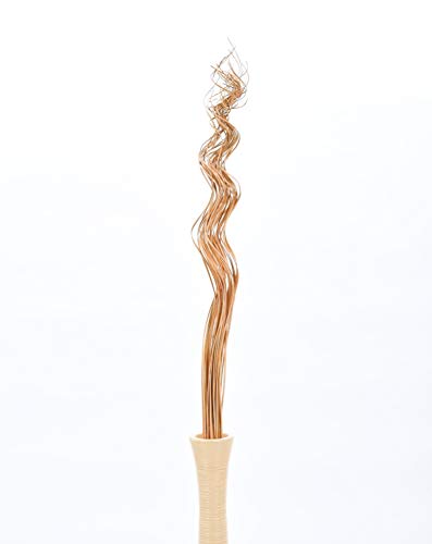 Leewadee Tall Vase Filler, Wavy Palm Leaves – 2 Bunches of Colored Curly Twigs for Floor Vases, Dried Arrangements for for Vintage Or Modern House Decor, 39 inches, Ecru - color: Ecru, style: Branches