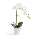 Artificial Orchid Flowers in Pot, 17" Real Touch Phalaenopsis Faux Orchid Plant (Adjustable to 20"), Large White/Pink Fake Flower Arrangement for Dining Table Centerpiece, Home Office (White) - color: White