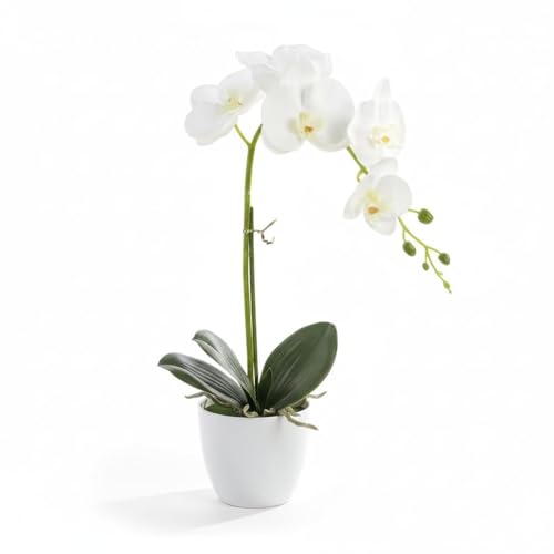 Artificial Orchid Flowers in Pot, 17" Real Touch Phalaenopsis Faux Orchid Plant (Adjustable to 20"), Large White/Pink Fake Flower Arrangement for Dining Table Centerpiece, Home Office (White) - color: White