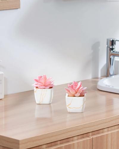 Taybonds Artificial Succulent in 2PCS White Ceramic Pot, Small Fake Succulents Plants for Office and Desk Decor,Bathroom, Bedroom, Shelves, Vanity for Women - color: White