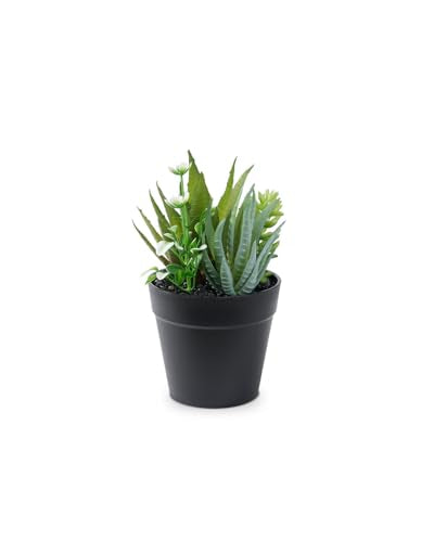 Faux Assorted Succulents - Artificial Succulent Plants for Desk, Bathroom, Shelf, or Home Decor, Realistic Greenery for Farmhouse, Office & Kitchen Decoration PA-017 - size: PA-017