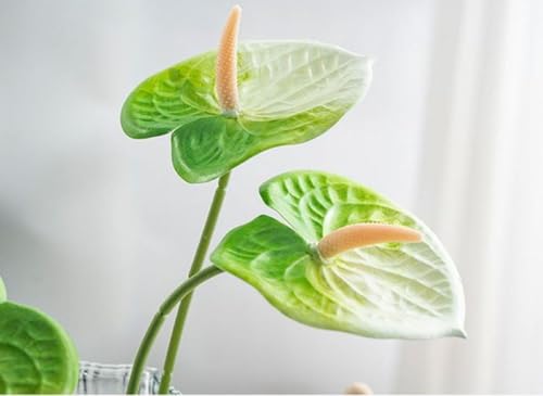 Corkwaw 8 Pcs 23-5/8 inch Artificial Anthurium Flowers Real Touch Fake Flower for Table Centerpieces Arrangement and Bridal Wedding Festival Decor Flower Arrangement (White Green) - color: White Green