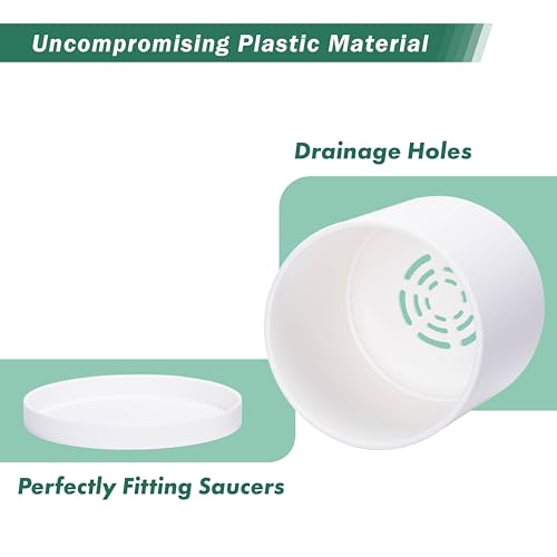 D'vine Dev 2 Pack 6.5 Inch Modern Plastic Plant Pots, Small Garden Planters for Plant with Drainage Holes and Saucers, White Color, 74-Z-L-1 - size: 6.5"