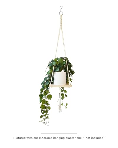 Retrograde 32" Realistic Fake Pothos Ivy Plant Silk Artificial Plant for Aesthetic Home Decor Indoor (Dark Green) - color: Dark Green