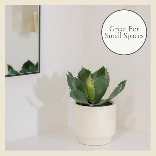 CG Hunter Round Faux Succulent Arrangement, Set-of-2 Premium Artificial Indoor Plants Enhances Interior Design, Display on Any Surface in Your Home Adding an Inviting Touch of Nature, Pots Included - size: 10" Set-of-2