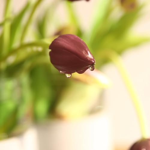 15pcs Artificial Tulips Flowers,Soft Touch Latex Bouquet, Fake Tulips Flowers,Spring Wedding Home Room Table Centerpiece Decor Deep Purple Set - color: 40pcs Deep Purple(no Vase)