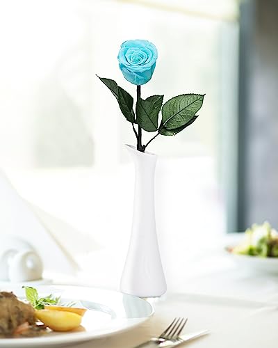 Sky Blue Flowers for Delivery Prime, Preserved Blue Roses Flower Gifts for Women, Real Roses Single Rose Gifts for Her, Mom Birthday Gifts from Daughter, Valentines Flowers - color: 10-sky Blue