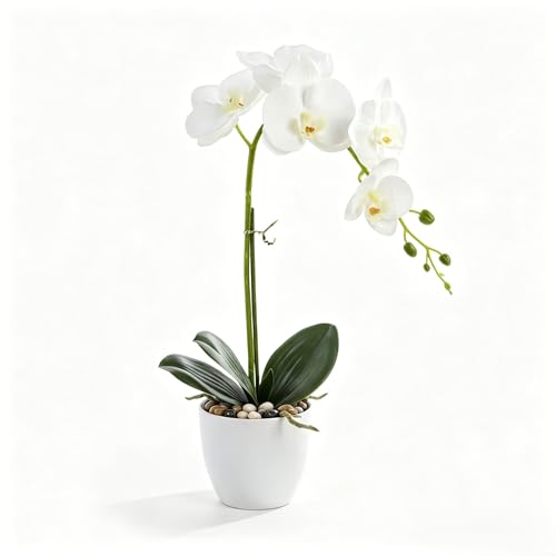 Artificial Orchid Plant with Pot, Realistic Faux Phalaenopsis Orchid with Moss, Lightweight Desktop Decor for Home and Office (Decorative River Pebble Base) - color: Decorative River Pebble Base