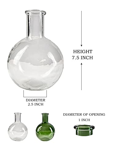 Serene Spaces Living Set of 2 Clear Bottleneck Bulb Glass Vase, Vintage Round Flower Vase for Console Table, Shelf, Living Room, Bathroom, Office, Wedding, Measures 5.3" Diameter & 7.48" Tall - color: Clear