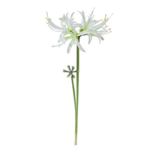 6 Stems 26.38 Inch Artificial Lycoris Radiata Spider Lily Flowers for Home Garden Decoration (White) - color: White