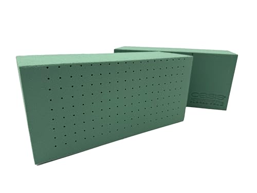 OASIS® Advantage® Plus Floral Foam – All‑Purpose Floral Foam Bricks, Punched for Faster Water Absorption, Green – 48 Brick Case