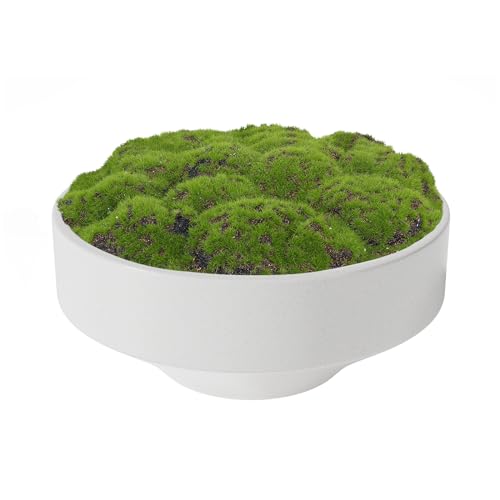 NAHARO New Moss Bowl, Handmade Ceramic Bowl. 11" Artificial Moss Centerpiece for Home Decoration, Living Room, Office - color: White