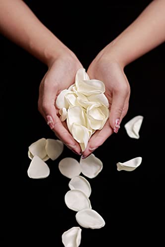 TINGE TIME 200pcs Silk Rose Petals Ivory White Flower Petals for Wedding, Flower Girl Basket, Aisle Runner, Romantic Dinner Centerpieces, Proposal, Party Confetti - color: Ivory