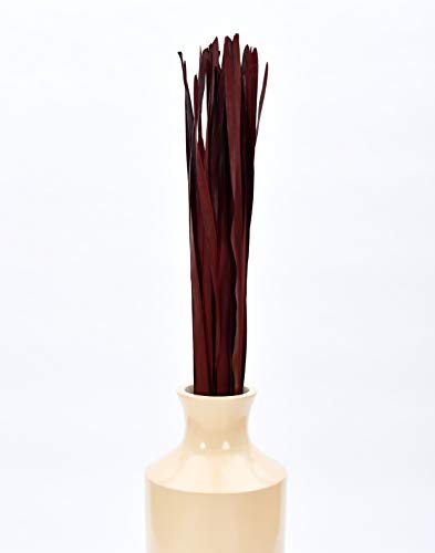 Leewadee Tall Vase Filler , Dried Palm Leaves – 2 Bunches of Colored Decor for Floor Vases, Naturally Dried Arrangements for Vintage Or Modern House Decor, 45 inches, Bordeaux - color: Bordeaux, style: Palm Leaf