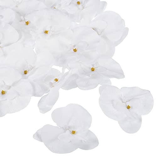 PATIKIL 9cm/3.5" Artificial Orchid Flower Heads, 20 Pack Silk Phalaenopsis Fake Butterfly Orchid Heads for Wedding Floral Bouquet Decor DIY Craft Making, Pure White - color: Pure White, size: 3.5"