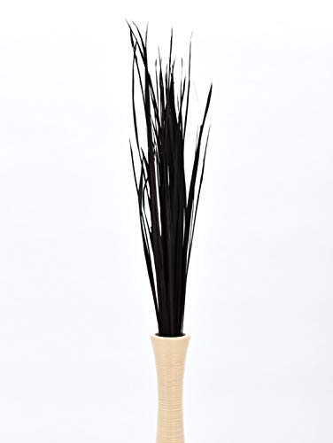 Leewadee Tall Vase Filler, Natural Grass Stems – 2 Bunches of Colored Branches for Vases, Carefully Dried Twigs for Home and Bar Decoration, 45 inches, Black Brown - color: Black Brown, style: Dried Grass