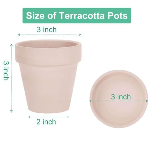 vensovo 3 inch Pink Terracotta Clay Pots for Plants with Saucer - 12 Pack Small Terra Cotta Planter Great for Garden Windowsill Indoor & Outdoor Wedding Favors Gifts - color: Pink