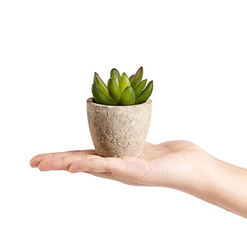Artificial Succulents Plants Potted Set-Decorative Fake Succulent Plant Faux Plastic Plant Indoor &Outdoor for House Office Desk Bathroom Kitchen DIY Decor Gift Set of 6