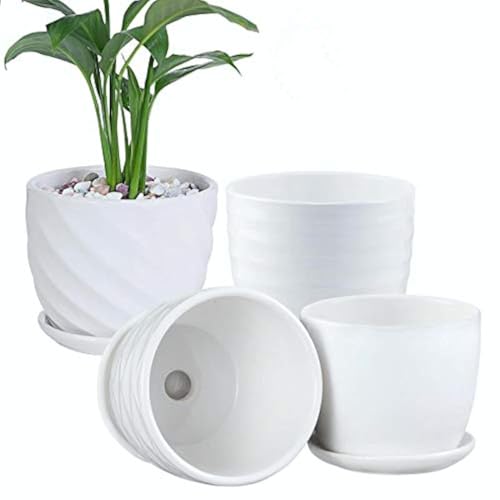 sietpoek Plant Pots - 4.7 Inch Cylinder Ceramic Planters with Connected Saucer, Pots for Succuelnt and Little Snake Plants, Set of 4, White - size: 4.7 Inch