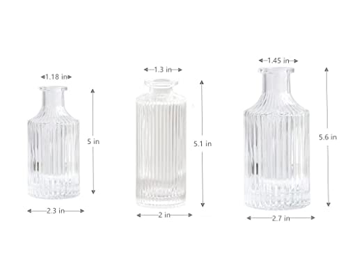 Set of 3 Mini Clear Glass Vase,Small Flower Bud Vase Hydroponics Planter Decorative for Flower,Table,Party,Home,Centerpieces(Clear 3) - color: Clear 3