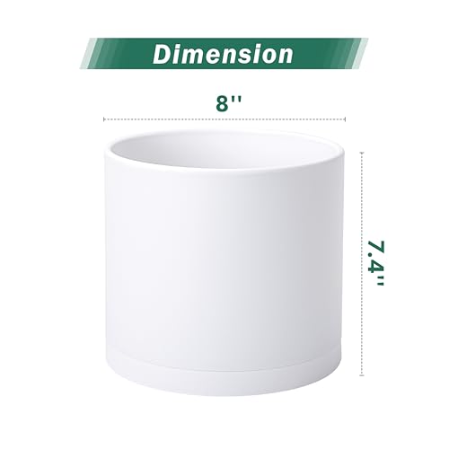 D'vine Dev 2 Pack 8 Inch Modern Plastic Plant Pots, Cylindrical Garden Planters for Plants with Drainage Holes and Saucers, White, 74-Z-M-1 - size: 8"
