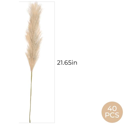 40pcs Beige Artificial Pampas Grass 21.6" Faux Dried Flowers Pompas Grass Bouquet Flower Arrangement and Vase Filler for Gothic Room Decoration Wedding Party Boho Home Decor - color: Beige