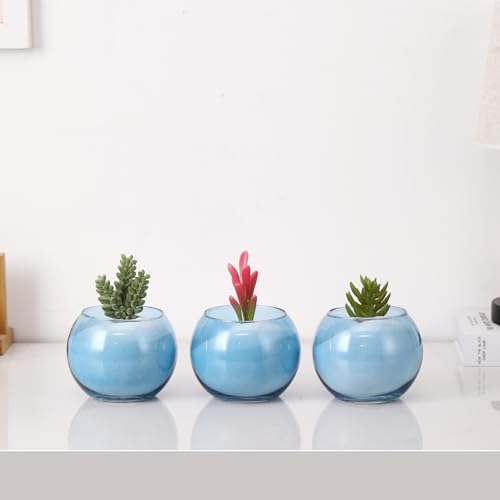 Round Glass Vases Set of 6, Blue Flower Vases for Centerpieces, Glass Bowl Vase, Small Round Vase for Living Room, Bedroom, Kitchen, Dining Table, Office, Wedding, 4 Inches - color: Blue, size: 4”