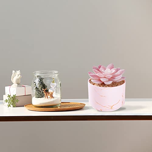 ZENIDA Succulent Artificial Plants,Cute Fake Succulents in 1 Pink Ceramic Pots,Small Fake Plants for Office,Table,Desk,Bathroom, Bedroom,Aesthetic Room Shelves Decor,Desk Decorations for Women Office - color: Pink