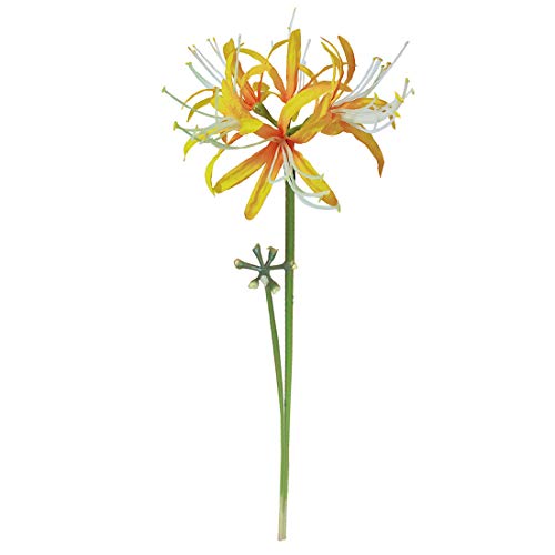 6 Stems 26.38 Inch Artificial Lycoris Radiata Spider Lily Flowers for Home Garden Decoration (Orange) - color: Orange